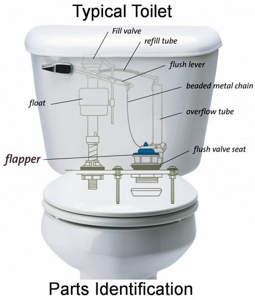 toilet diagram