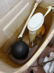 rust inside the WC water tank