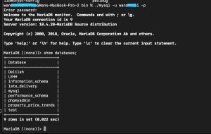 macos xampp 8.2.4 mysql access via command line